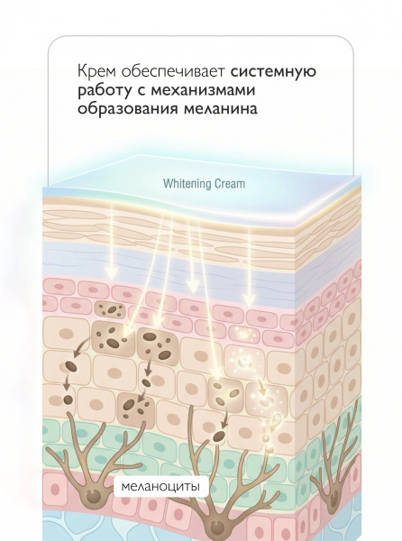 SIBIRBOTANIQ ПЕПТИДНЫЙ ОТБЕЛИВАЮЩИЙ КРЕМ ДЛЯ ЛИЦА И ТЕЛА В СТЕКЛЯННОЙ БАНКЕ, 50 ml